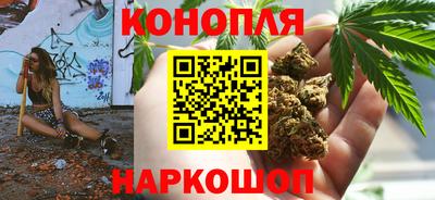 дмт Бийск
