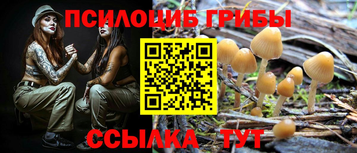 Клинцы  Галлюциногенные грибы Magic Shrooms  Вход с VPN  Галлюциногенные грибы Psilocybine cubensis 